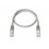Latiguillo UTP CAT5-E de 2Mts